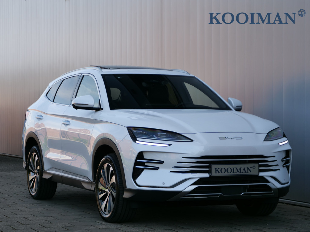 52844445