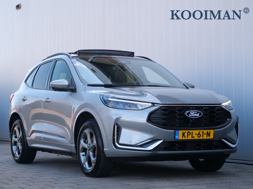 56376262